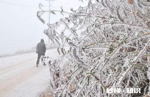 贵州山区真的有那么湿冷吗，为什么