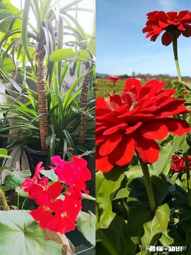 贵州山区真的有那么湿冷吗，为什么