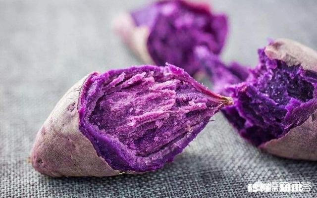 自家农产品怎么在网络上销售