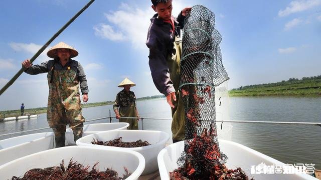 自家农产品怎么在网络上销售