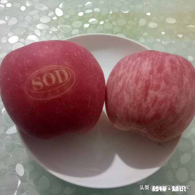 自家农产品怎么在网络上销售