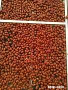 自家农产品怎么在网络上销售