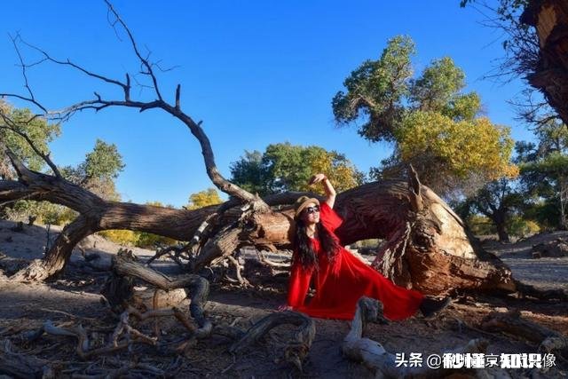 路上遇到一个美女，想去拍照，怎么办