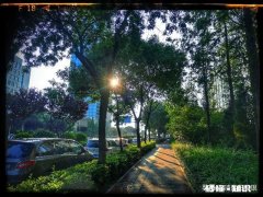 路上遇到一个美女，想去拍照，怎么办