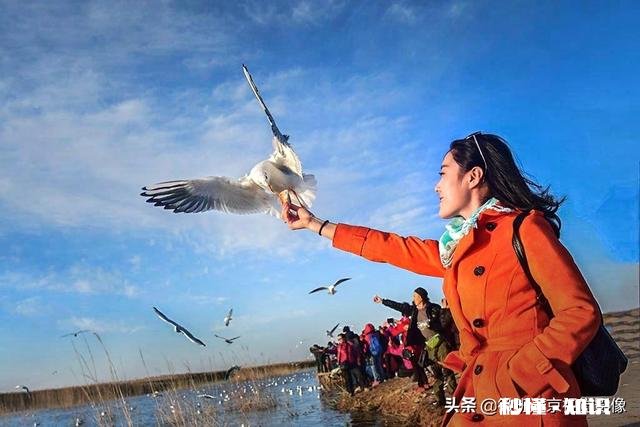 路上遇到一个美女，想去拍照，怎么办