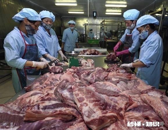 明年的养猪行业怎么样