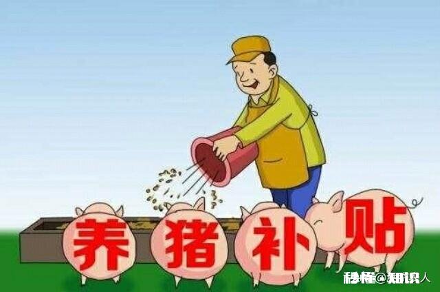 明年的养猪行业怎么样