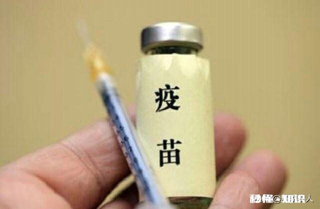 明年的养猪行业怎么样