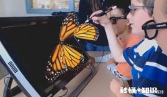 你觉得什么科技好物最受当下年轻人欢迎