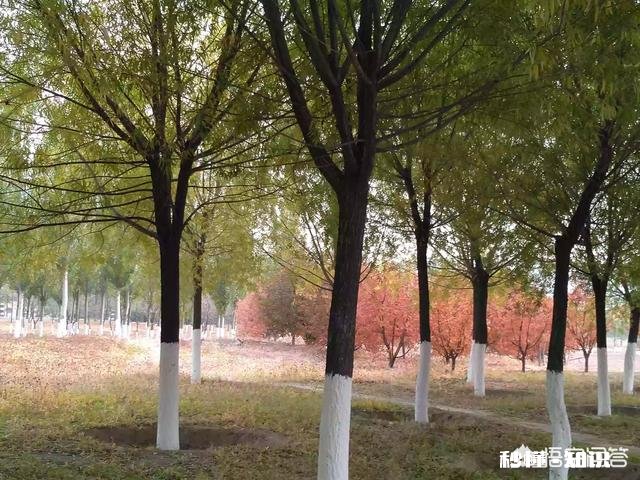 怎样让家人关心自己