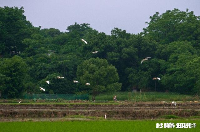朋友想去风景区玩不知道怎么去想让我带路却不给我买车票该怎么办