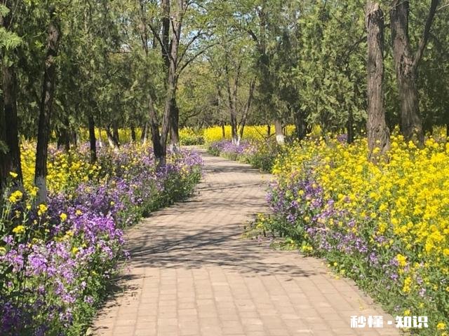 朋友想去风景区玩不知道怎么去想让我带路却不给我买车票该怎么办