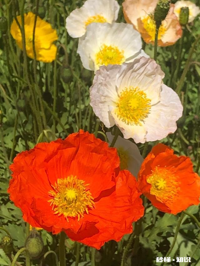 朋友想去风景区玩不知道怎么去想让我带路却不给我买车票该怎么办