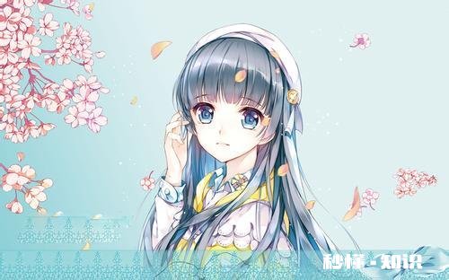 应该去哪学习动漫绘画