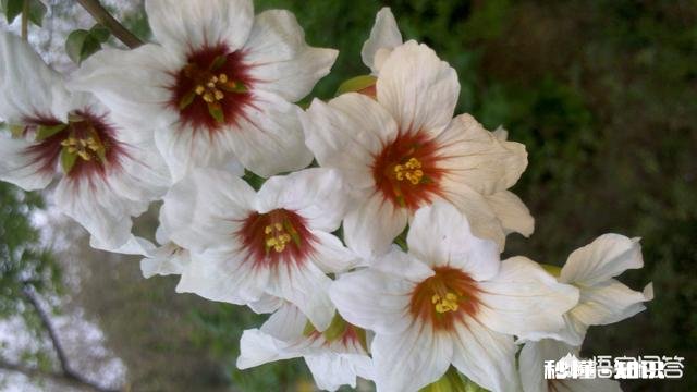 朋友介绍了一个女生，约会了几次后想让她做女朋友，她却说对我不来电，怎么办