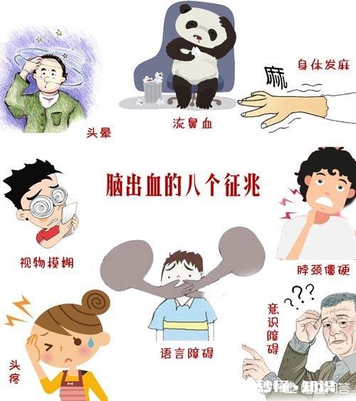 脑出血之前有什么兆头