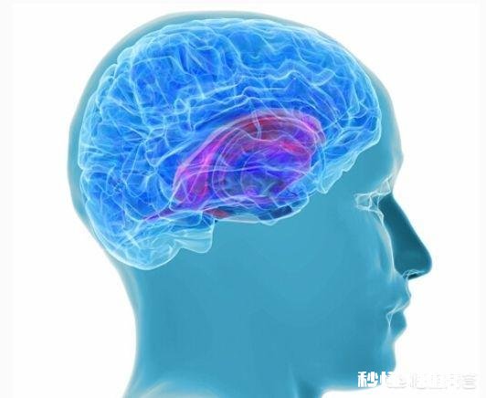 脑出血之前有什么兆头