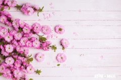 男孩子学西点合适吗