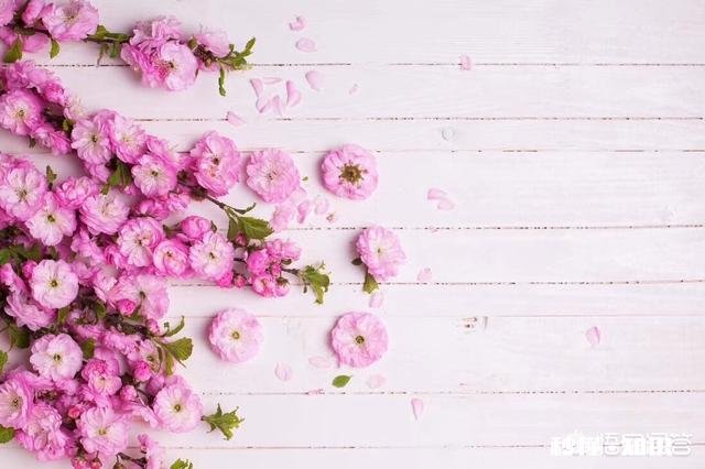 男孩子学西点合适吗