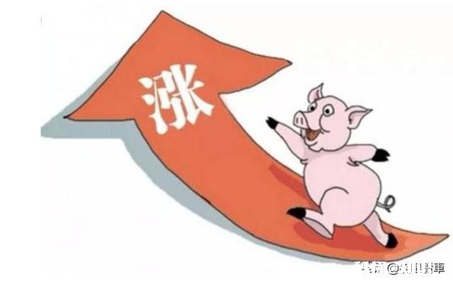有人说疫情过后汽油价格会上涨，猪肉价格会下降，对于这种说法你有什么看法