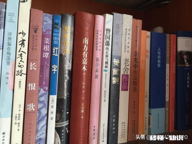 你手里面谁的书最多哪部分让你最印象深刻