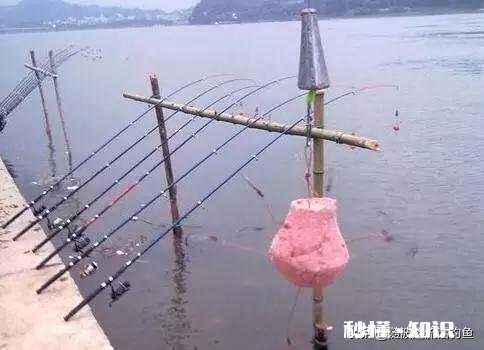 海竿钓鲢鳙用多长的杆