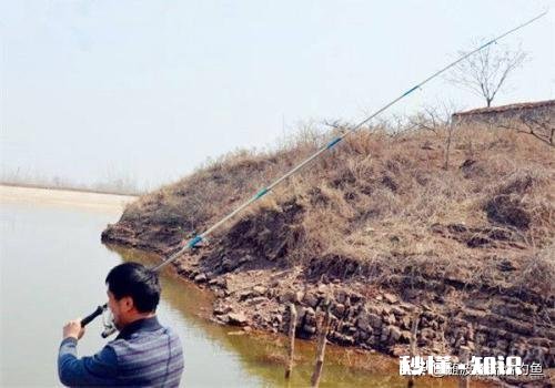 海竿钓鲢鳙用多长的杆