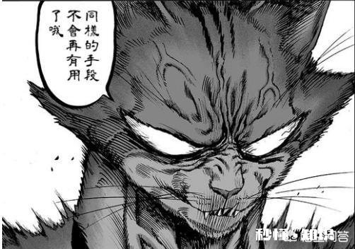 《一拳超人》中,因小猫咪看不起,驱动骑士化身变形金刚把龙级怪人喵嗯一顿暴揍!这是怎么回事