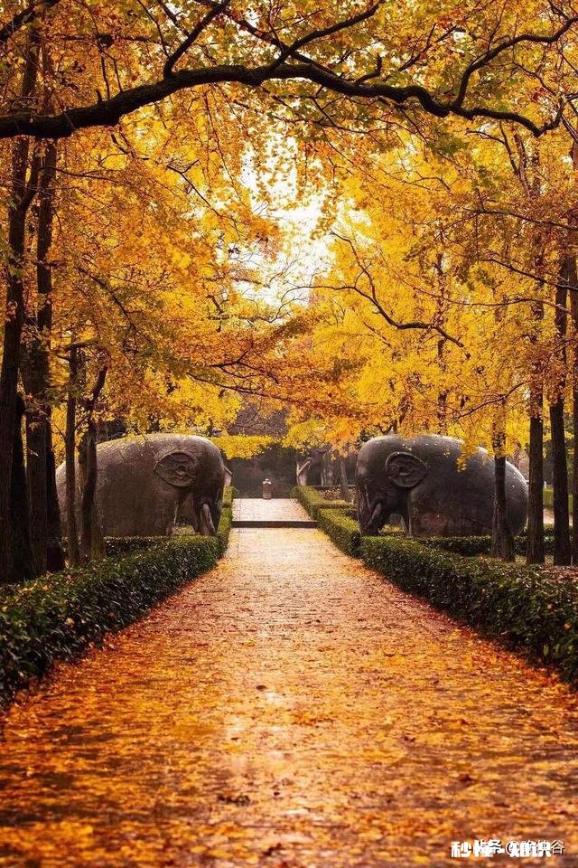 女朋友和另一个男生出去玩，那个男生有女朋友，合适吗