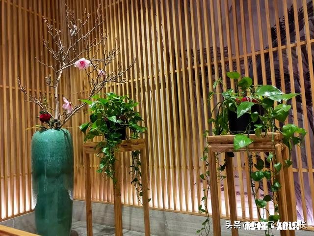 女朋友和另一个男生出去玩，那个男生有女朋友，合适吗