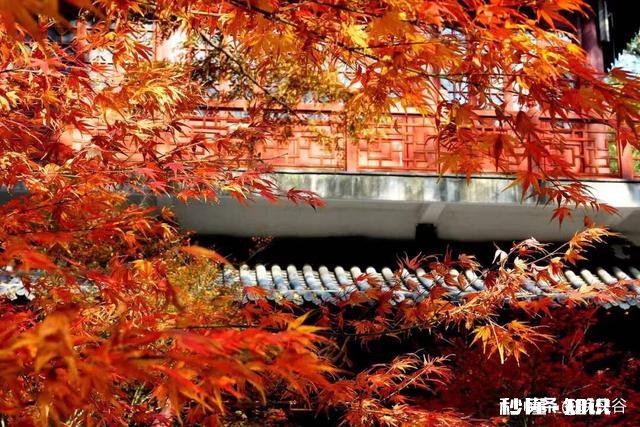 女朋友和另一个男生出去玩，那个男生有女朋友，合适吗