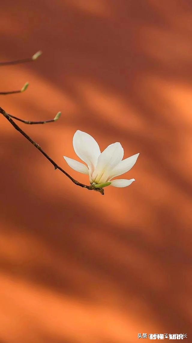 女朋友和另一个男生出去玩，那个男生有女朋友，合适吗