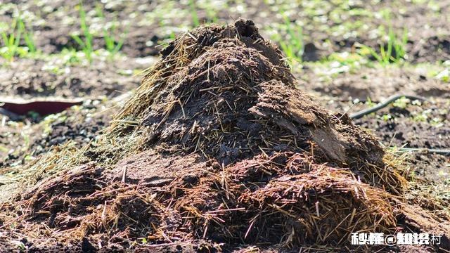 农村农家肥如何自制能提高肥效