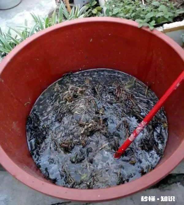 农村农家肥如何自制能提高肥效