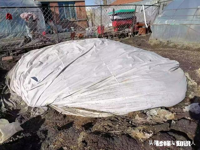 农村农家肥如何自制能提高肥效