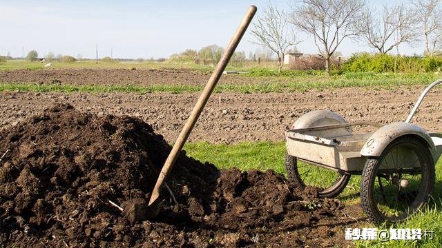 农村农家肥如何自制能提高肥效