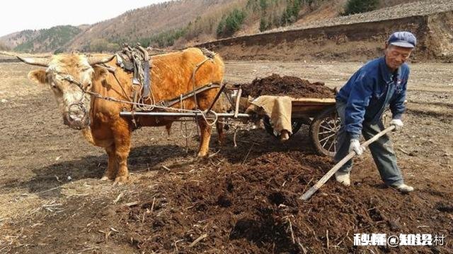 农村农家肥如何自制能提高肥效