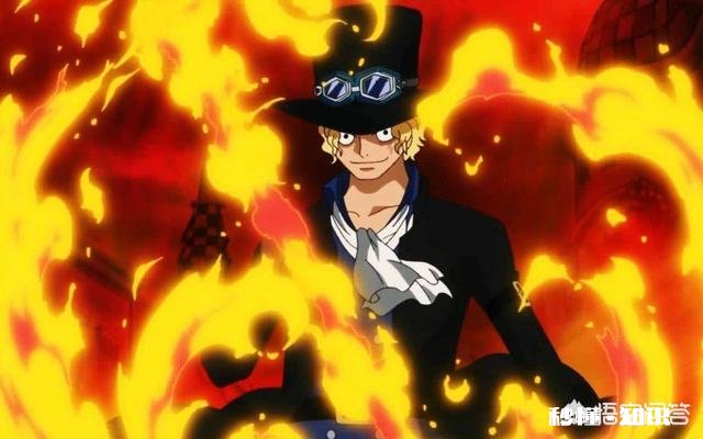 《海贼王》中死掉了多少恶魔果实能力者