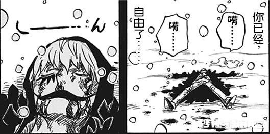 《海贼王》中死掉了多少恶魔果实能力者