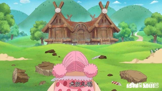 《海贼王》中死掉了多少恶魔果实能力者