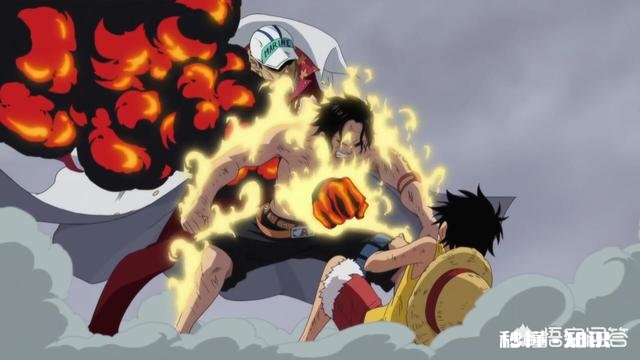 《海贼王》中死掉了多少恶魔果实能力者