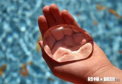 抓不住的就要放弃吗