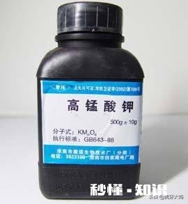 孔雀鱼缸里放水草要杀菌吗