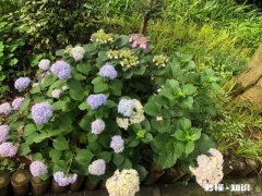 你遇到的最虚伪讨厌的人是谁，又是怎么解脱的