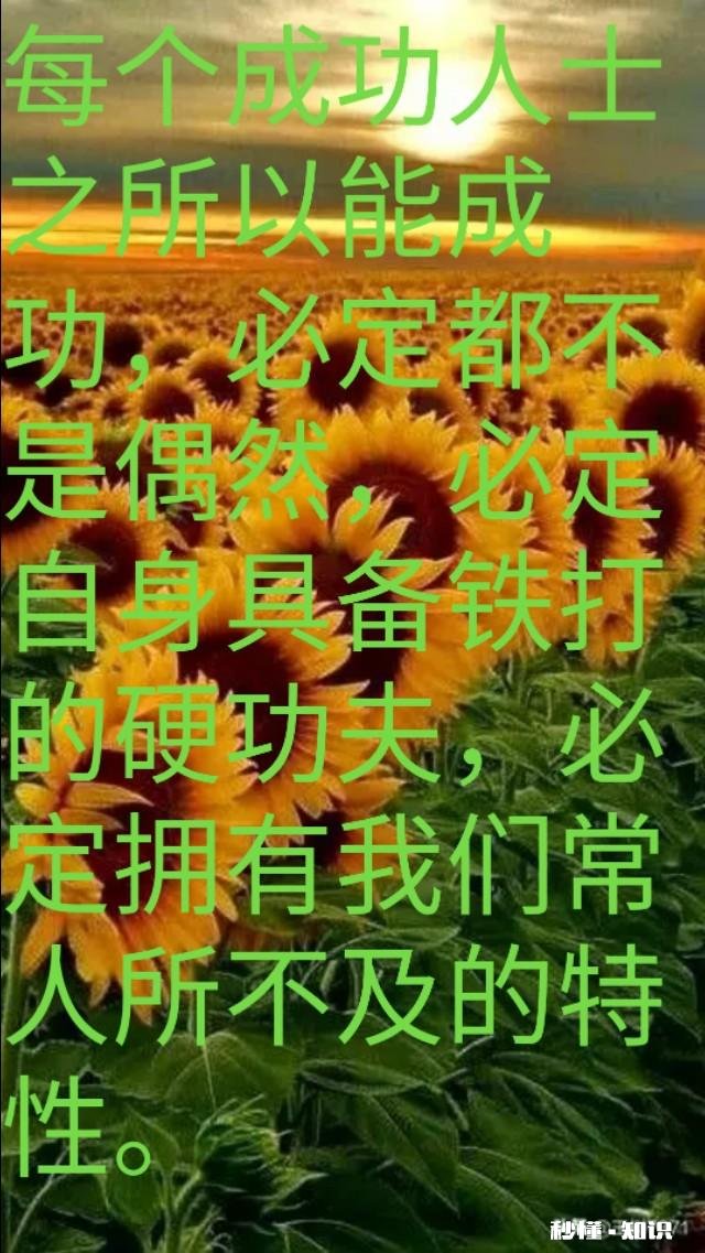 如何提高，做事能够准确点