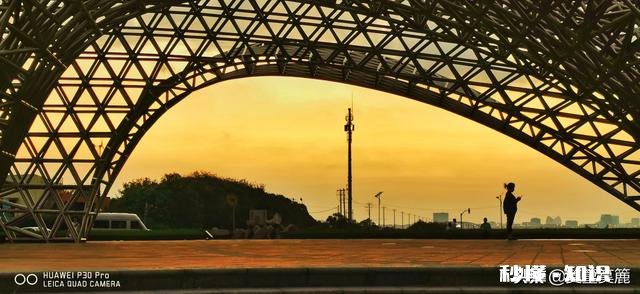 董卿,林志玲,小s,谢娜,金星,这几位主持人,娶谁当媳妇比较好