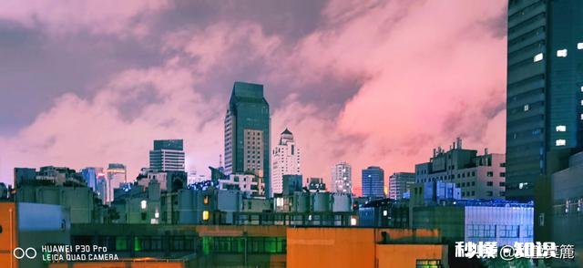 董卿,林志玲,小s,谢娜,金星,这几位主持人,娶谁当媳妇比较好