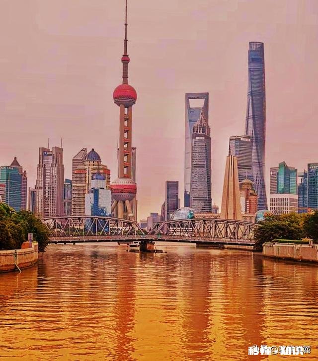 董卿,林志玲,小s,谢娜,金星,这几位主持人,娶谁当媳妇比较好