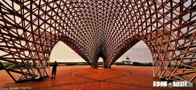 董卿,林志玲,小s,谢娜,金星,这几位主持人,娶谁当媳妇比较好