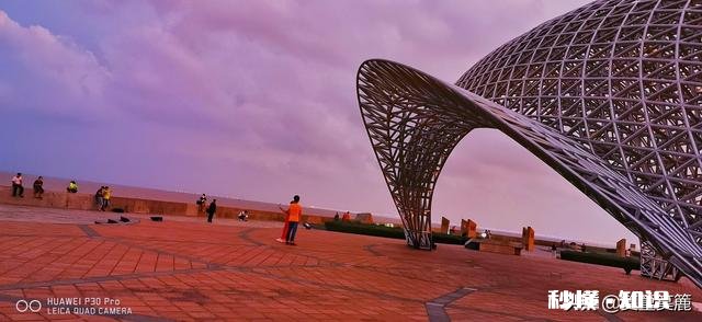 董卿,林志玲,小s,谢娜,金星,这几位主持人,娶谁当媳妇比较好